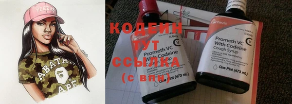 прущие грибы Куйбышев