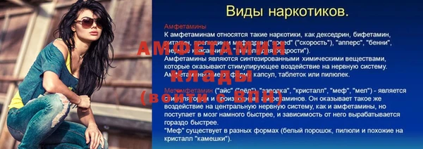 прущие грибы Куйбышев
