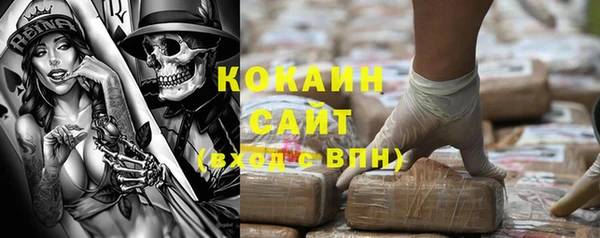 прущие грибы Куйбышев