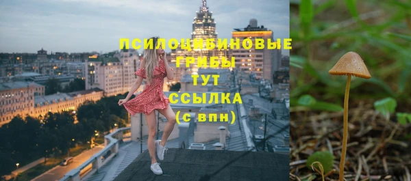 прущие грибы Куйбышев
