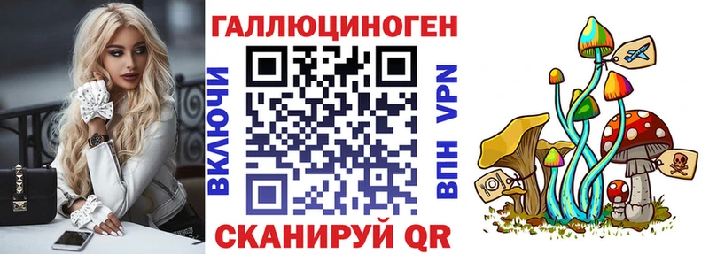 OMG маркетплейс  где можно купить наркотик  Темрюк  Галлюциногенные грибы Psilocybe 