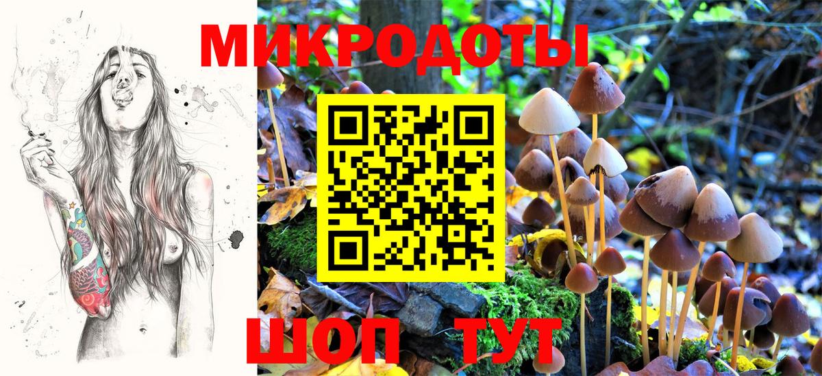 Темрюк  Псилоцибиновые грибы мухоморы  даркнет сайт  Вход с VPN 
