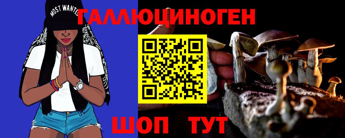 Галлюциногенные грибы Psilocybine cubensis Темрюк